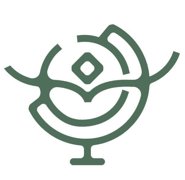 Mr Mohamed Nasser Logo